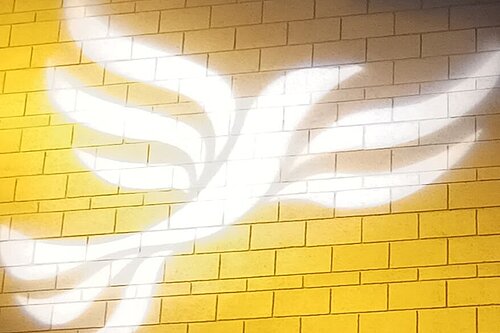 Lib Dem logo bird projected on blockwork