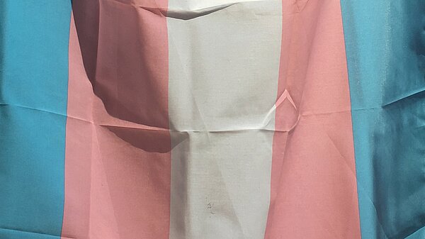 Trans flag